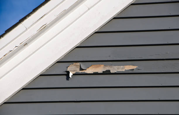 Best Shed Removal  in Iroquois Point, HI